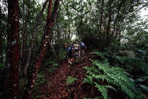 BIB: 
                            <button type="button" onclick="openModal(26201131)" class="btn btn-primary btn-sm float-right btn-popup" data-toggle="modal" data-target=".modal-high-quality">
                        <i class="fas fa-shopping-cart"></i> Add to Cart
                    </button>
                                            <button type="button" onclick="isThisMe(26201131, true)" class="btn btn-success btn-sm float-right btn-popup btn-isme hidden" data-toggle="tooltip" data-placement="bottom" title="นี่คือรูปของคุณใช่ไหม คลิกที่นี่เพื่อเอาเข้าอัลบั้ม">
                        <i class="fas fa-plus"></i> Add to album
                    </button>
                    <button type="button" onclick="isThisMe(26201131, false)" class="btn btn-warning btn-sm float-right btn-popup btn-isnotme hidden">
                        <i class="fas fa-ban"></i> Remove from album
                    </button>